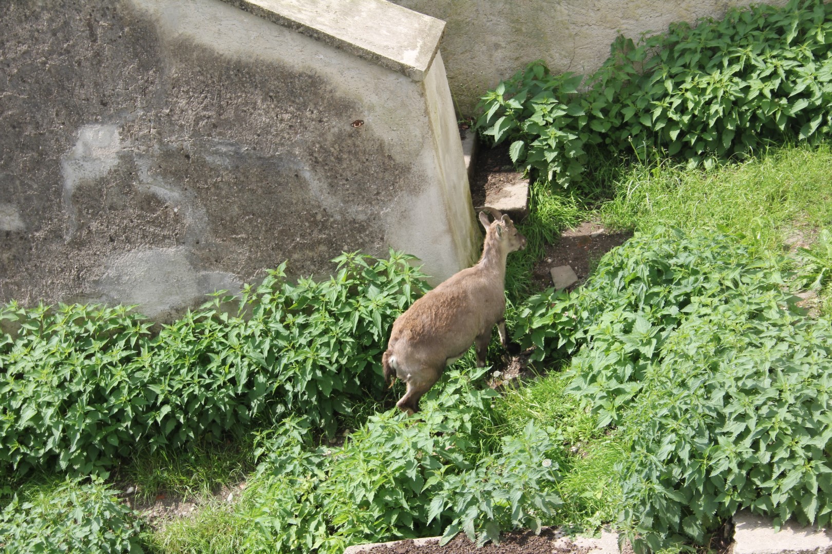 2018-05-11 Frhjahrsausfahrt: 2. Tag